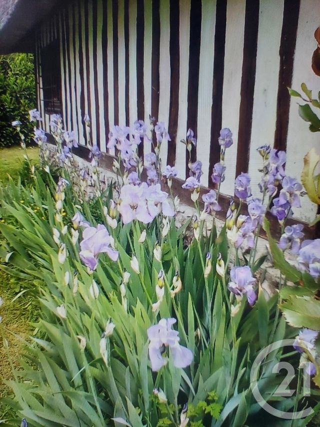 Afficher la photo en grand maison à vendre - 6 pièces - 197.45 m2 - VATTETOT SOUS BEAUMONT - 76 - HAUTE-NORMANDIE - Century 21 Accore