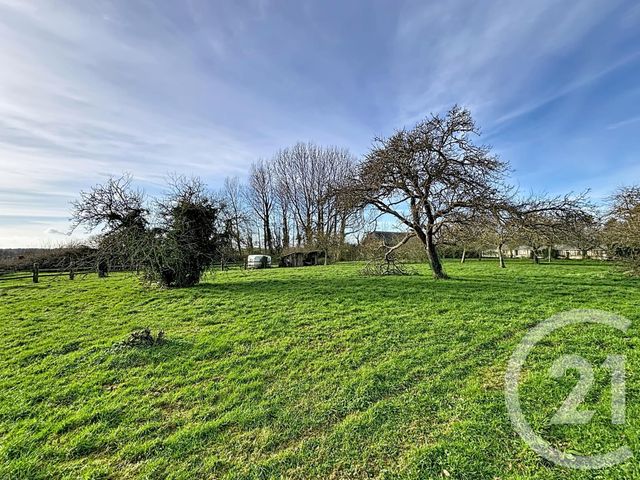 maison à vendre - 8 pièces - 208.3 m2 - SASSETOT LE MAUCONDUIT - 76 - HAUTE-NORMANDIE - Century 21 Accore