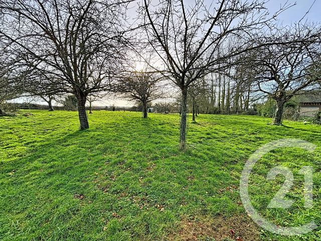 maison à vendre - 8 pièces - 208.3 m2 - SASSETOT LE MAUCONDUIT - 76 - HAUTE-NORMANDIE - Century 21 Accore