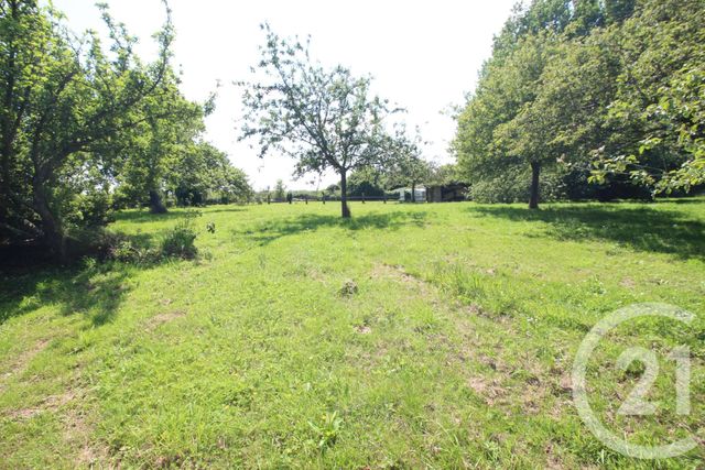 maison à vendre - 8 pièces - 208.3 m2 - SASSETOT LE MAUCONDUIT - 76 - HAUTE-NORMANDIE - Century 21 Accore