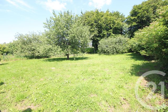 maison à vendre - 8 pièces - 208.3 m2 - SASSETOT LE MAUCONDUIT - 76 - HAUTE-NORMANDIE - Century 21 Accore