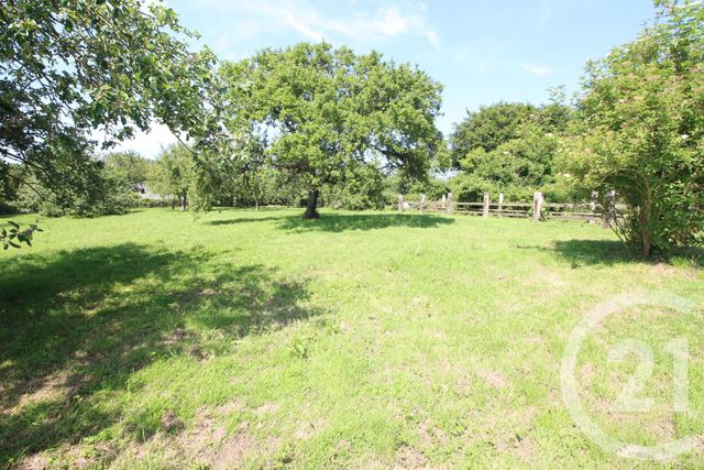 maison à vendre - 8 pièces - 208.3 m2 - SASSETOT LE MAUCONDUIT - 76 - HAUTE-NORMANDIE - Century 21 Accore